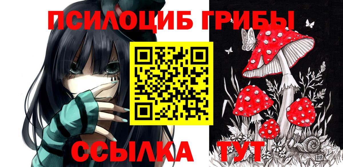 Галлюциногенные грибы Psilocybine cubensis  Вход с VPN  Псилоцибиновые грибы Magic Shrooms  Норильск 
